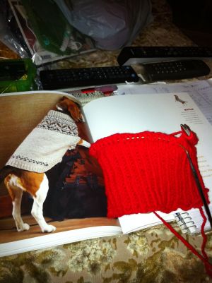 Photo Dec 09, 11 13 49 PM