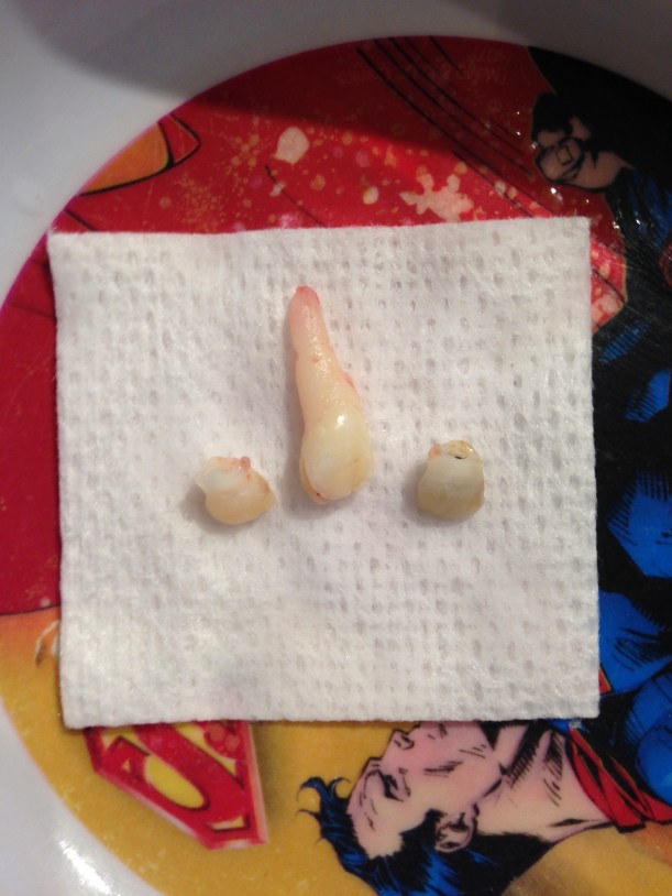 Photo 2015-11-05, 4 27 54 PM