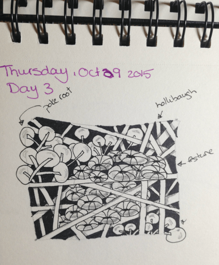 Photo 2015-11-30, 10 32 47 PM