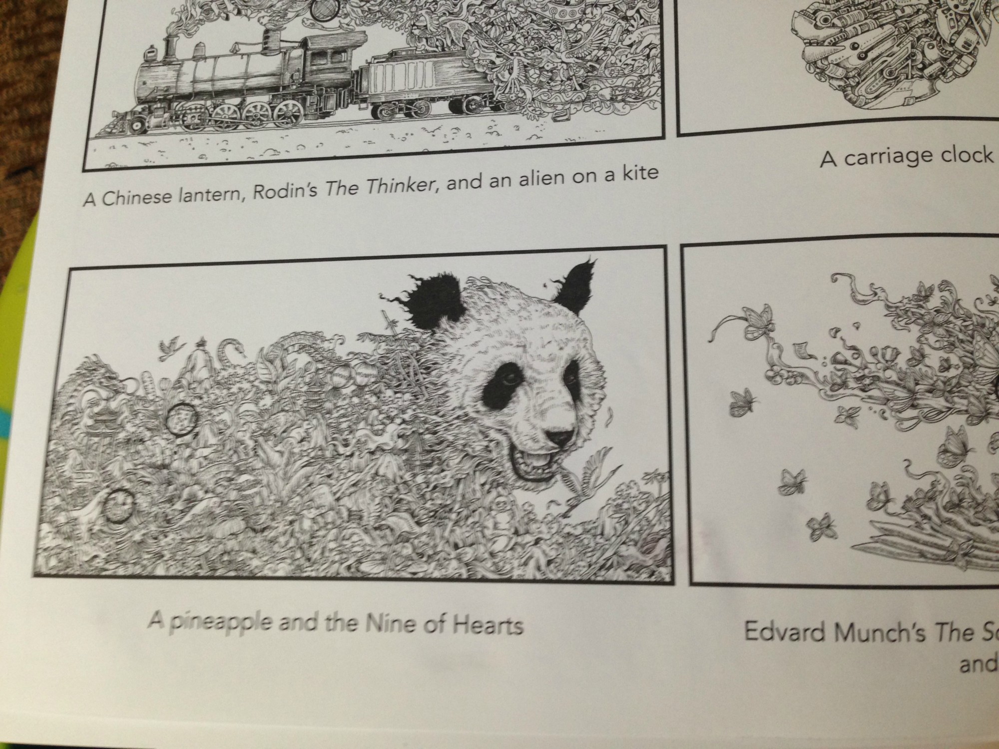 marco raffine 02 back