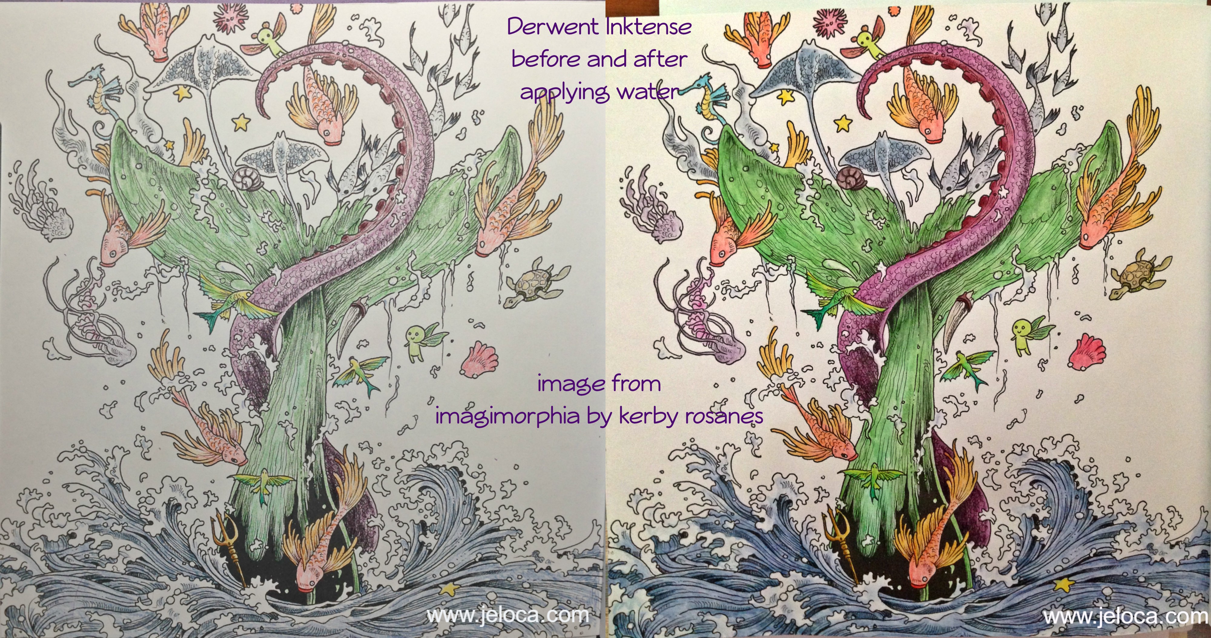 06_whale_imagimorphia_inktense_before_and_after